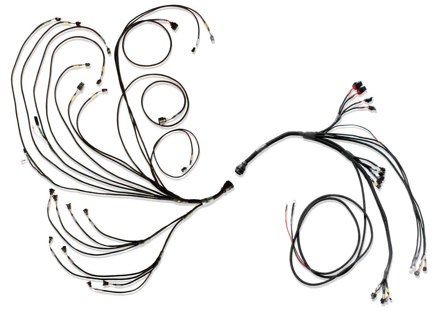 ACE Racing Engines FuelTech FT600 PRO V8 Harness